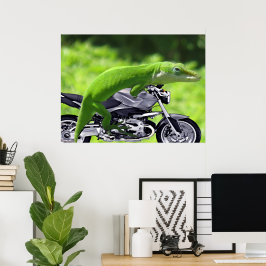 Poster Cartaz do Geckos havaiano verde piloto de moto