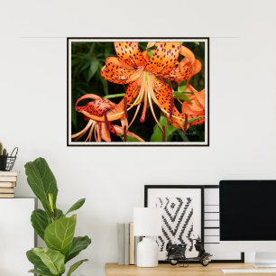 Póster Cartaz do Jardim de Flores Lírio do Tigre