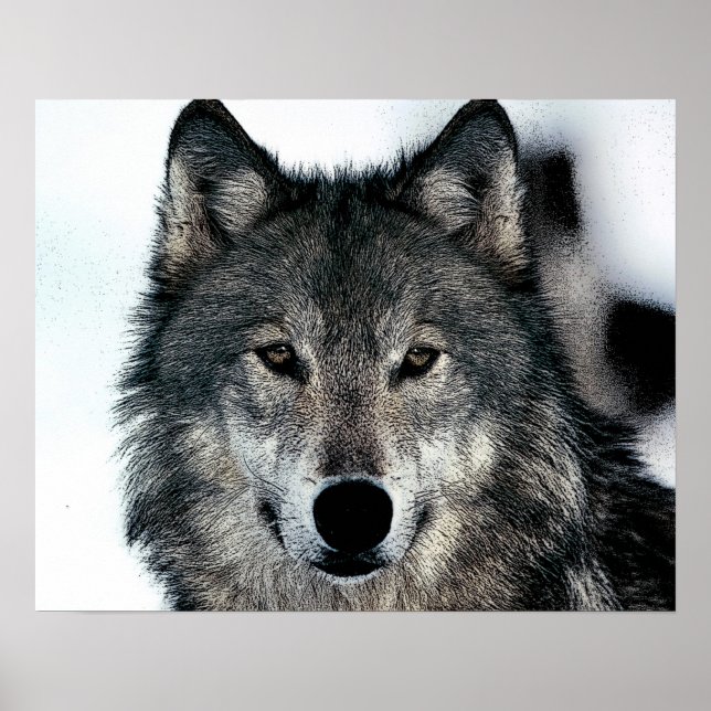 Poster Cartaz do Lobo Cinzento (Frente)