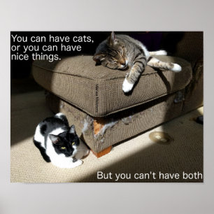 Poster Cartaz do Meme Sobre Gatos