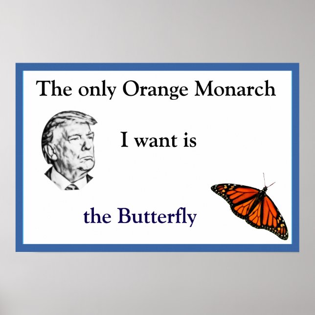 Poster Cartaz do Monarca Laranja (Frente)