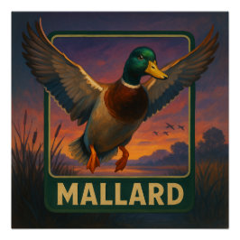 Póster Cartaz do Pato-real