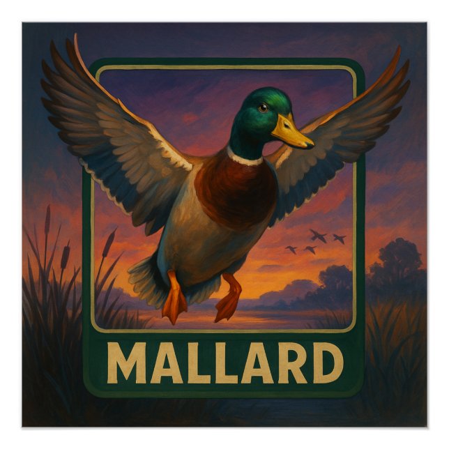 Póster Cartaz do Pato-real (Frente)