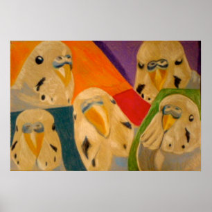 Póster Cartaz do Periquito Australiano Budgie