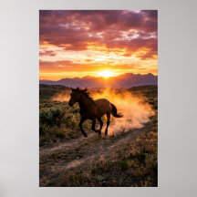 Cartaz do Pôr do Sol do Cavalo Selvagem Majestoso