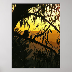 Póster Cartaz do Pôr do Sol do Solstício Australiano