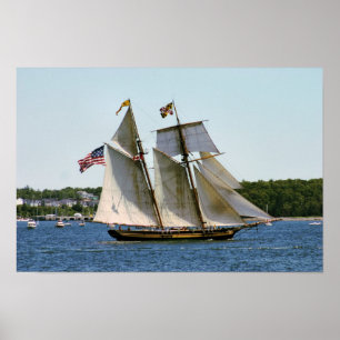 Poster Cartaz do Pride of Baltimore II Tall Ship