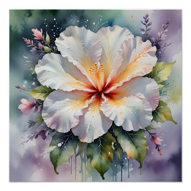 Póster cartaz do sonho de hibisco branco (Frente)