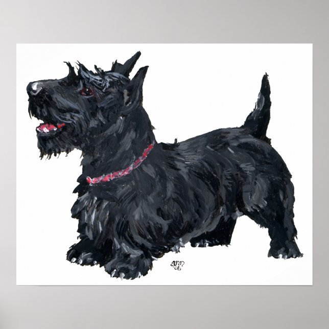 Póster Cartaz do Terrier Escocês (Frente)