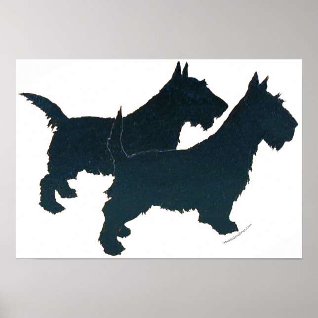 Poster Cartaz do Terrier Escocês (Frente)