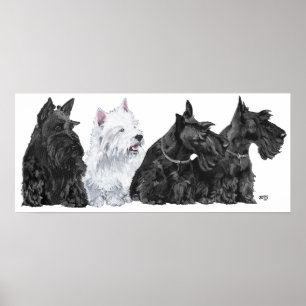 Póster Cartaz do Terrier Escocês