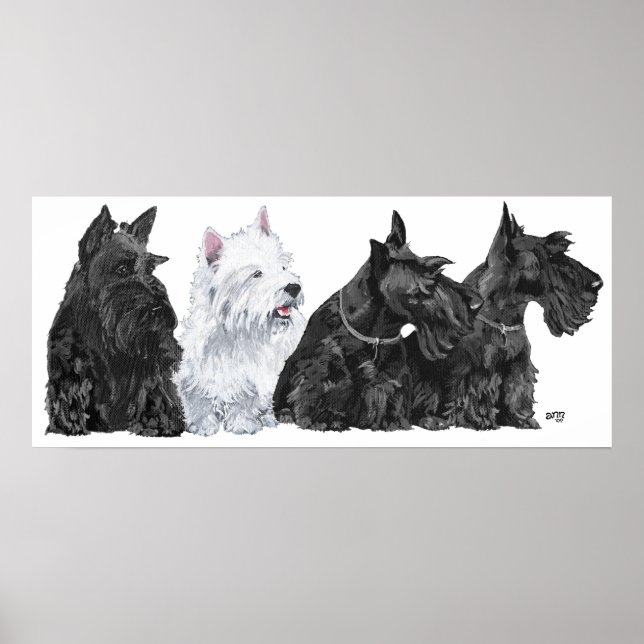 Póster Cartaz do Terrier Escocês (Frente)