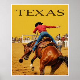 Poster Cartaz do Texas