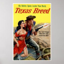 Poster Cartaz do Texas