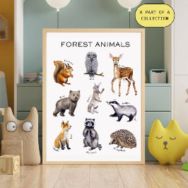 Póster Cartaz Educativo de Animais da Floresta