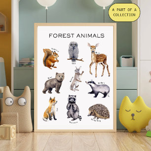 Póster Cartaz Educativo de Animais da Floresta