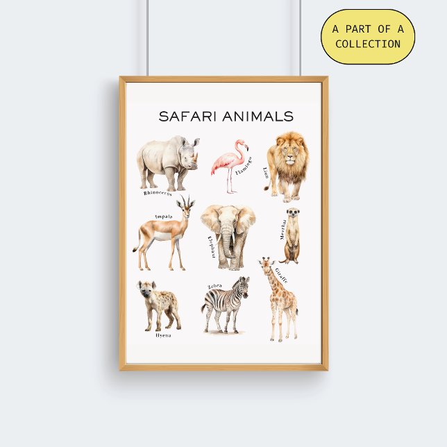 Póster Cartaz Educativo de Animais da Savana (Criador carregado)