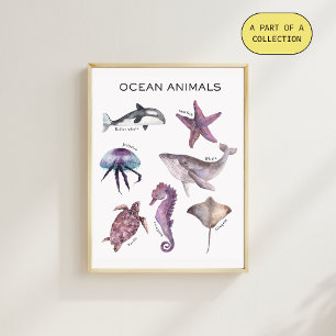 Póster Cartaz Educativo de Animais Marinhos