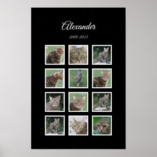 Poster Cartaz Elegante para Pet Preto com 12 Espaços para