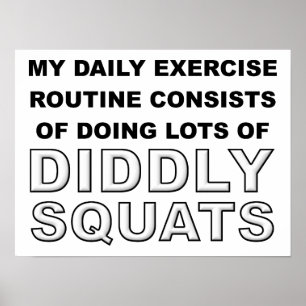 Poster Cartaz Engraçado Diddly Squats