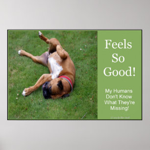 Póster Cartaz Feels So Good