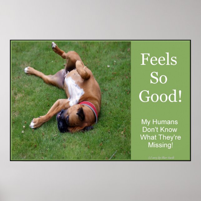 Póster Cartaz Feels So Good (Frente)