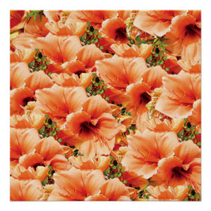 Póster Cartaz Floral