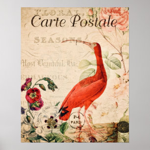 Poster Cartaz Floral Francês do Pássaro Íbis-Escarlate Vi