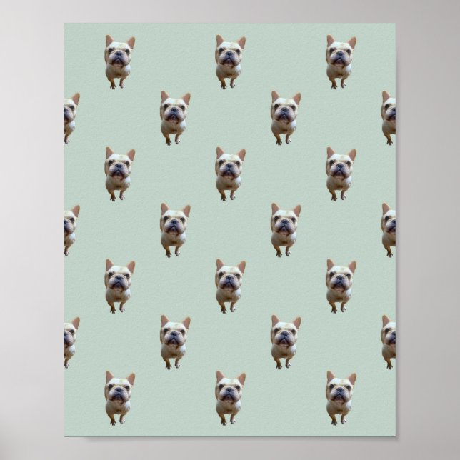 Poster cartaz fosco pattern_2_buldogue francês_2 (Frente)