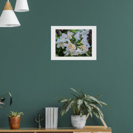 Poster Cartaz Fotográfico Floral White Lily Blooms