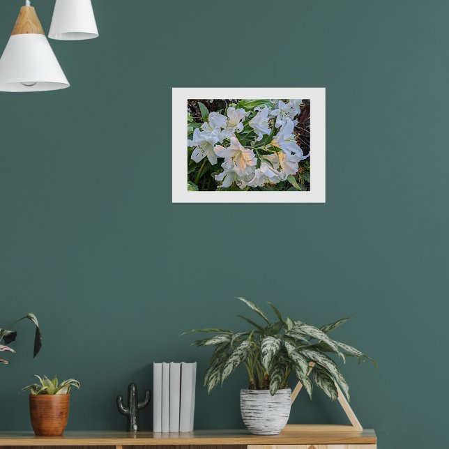 Poster Cartaz Fotográfico Floral White Lily Blooms (Sala de Estar 1)