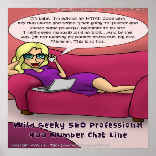 Póster Cartaz Geeky 900 Number SEO Girls Gone Wild