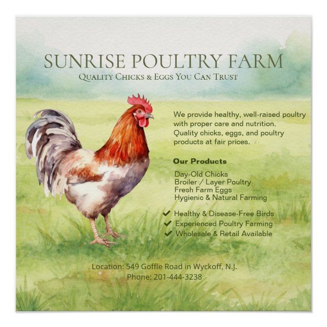 Póster Cartaz Glossy de Granja de Frangos (Frente)