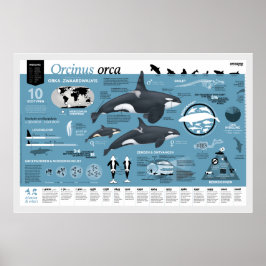 Póster Cartaz infográfico - edição holandesa