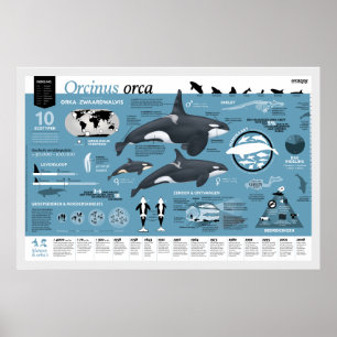 Póster Cartaz infográfico - edição holandesa