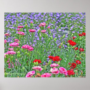 Póster cartaz, JARDIM DE FLORES COLORIDAS, MISTAS/VERMELH