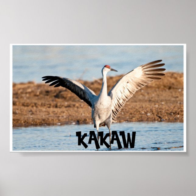 Poster Cartaz KAKAW (Frente)