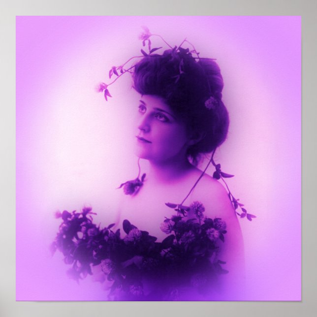 Póster Cartaz Lilac de Miss Whitlock (Frente)