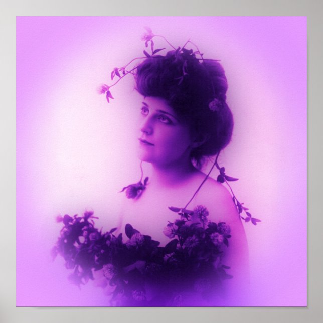Póster Cartaz Lilac de Miss Whitlock (Frente)