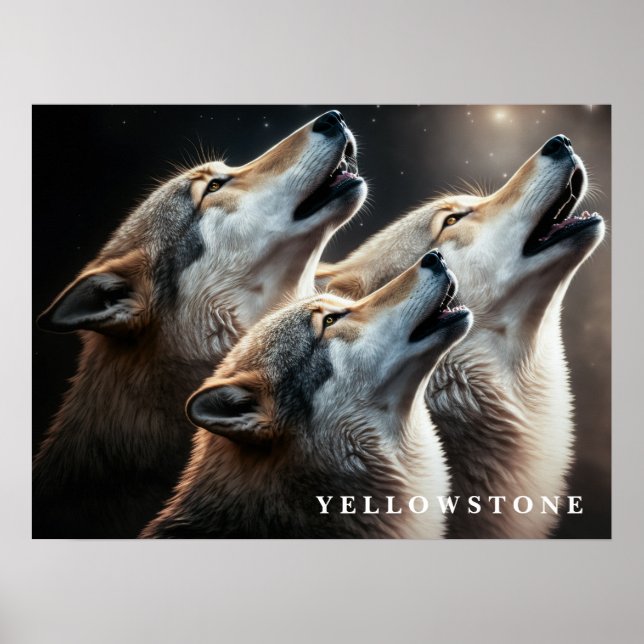 Poster Cartaz Lobos de Yellowstone (Frente)