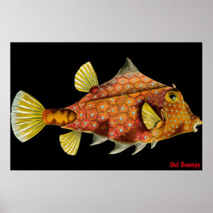 Poster Cartaz Mal-Humorado Oul