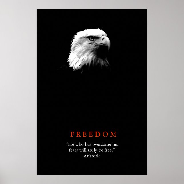 Póster Cartaz Motivacional Liberdade Preto Branco Águia C (Frente)