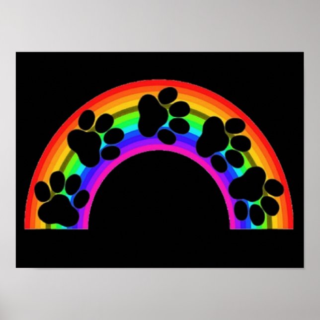Poster Cartaz Patas Em Um Arco-Íris (Frente)