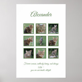 Poster Cartaz Personalizado de Celebração do Animal de Es