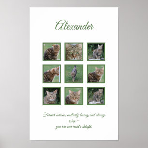 Poster Cartaz Personalizado de Celebração do Animal de Es