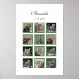 Poster Cartaz Personalizado de Memória de Pet