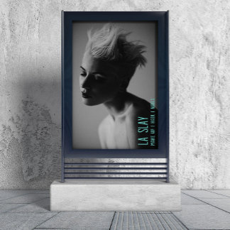 Poster Cartaz Profissional de Beleza Edgy