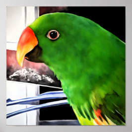 Poster Cartaz Quadrado de Papagaio Eclectus