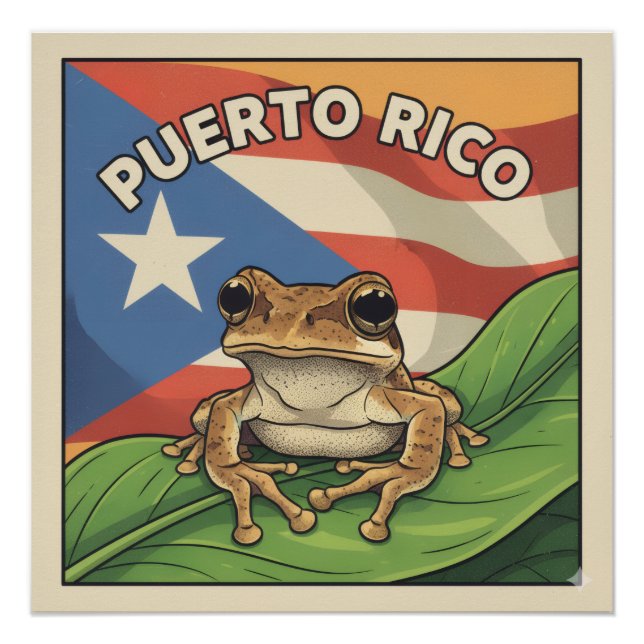Póster Cartaz Retro Orgulho Boricua (Frente)