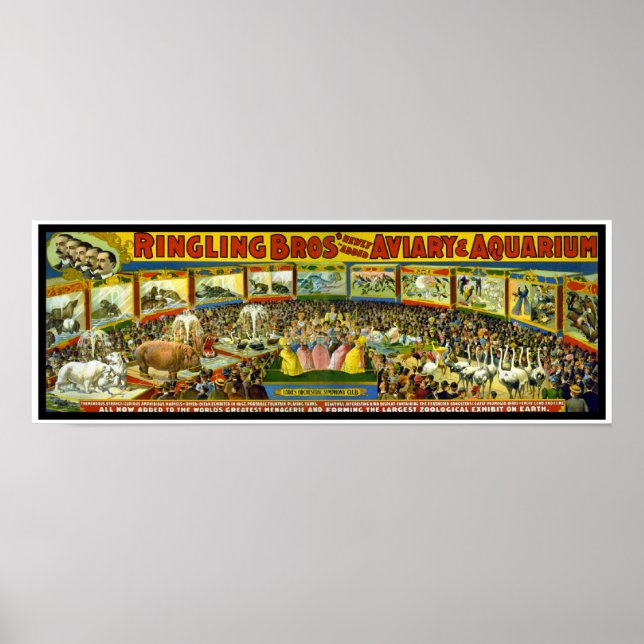 Póster Cartaz Ringling Brothers Circus "Aviary Aquarium" (Frente)